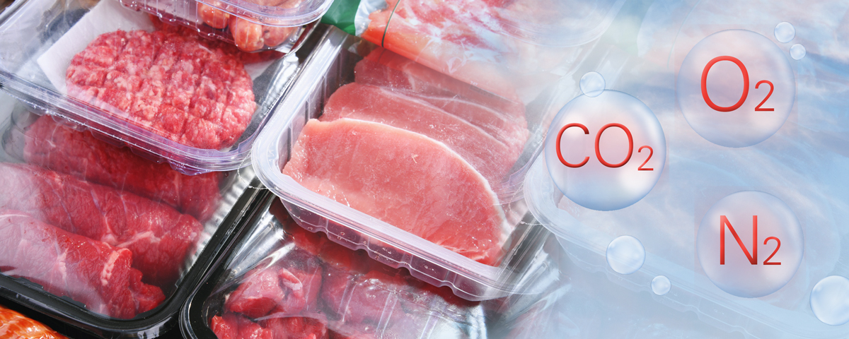 4687_banner_1200x480